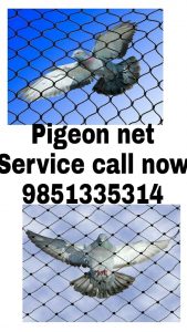 pigeon net