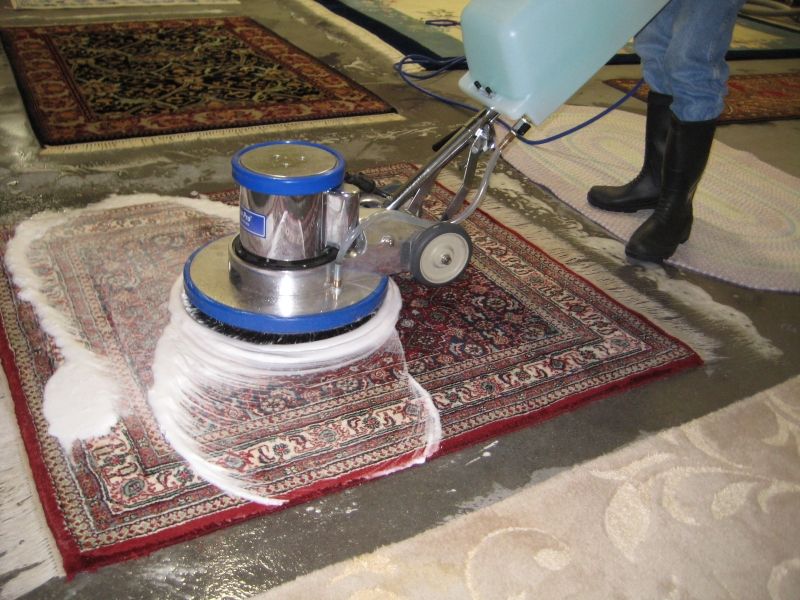 carpet cleaning service